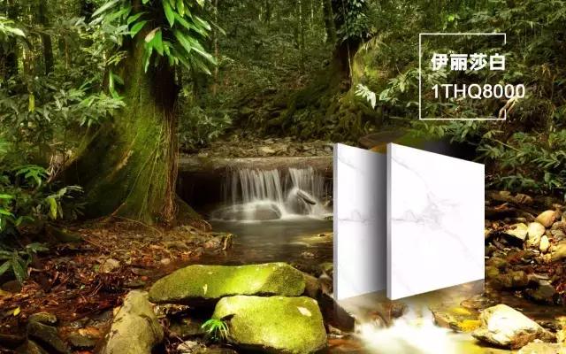 圣德保陶瓷森態石 | 帶您環游歐洲各大森林，坐享天然氧吧！