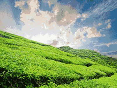 西行記 &middot; 森態石篇：圣德保森態石開創綠色建材新時代